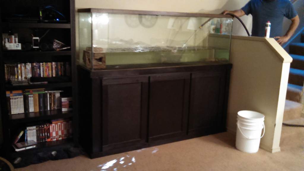 Setting up our 150 gallon Axolotl tank.