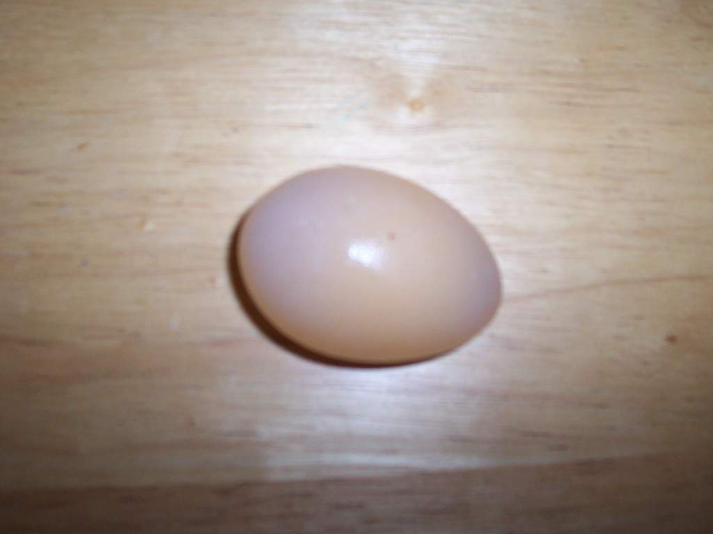 Shell-less duck egg