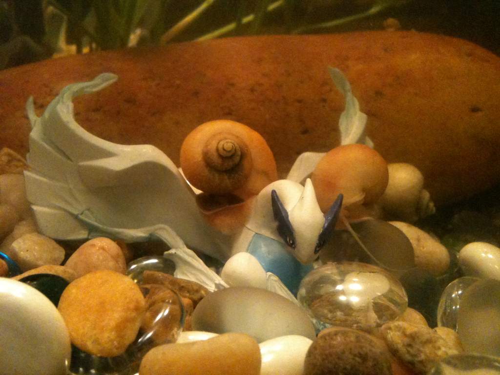 Snail attack!