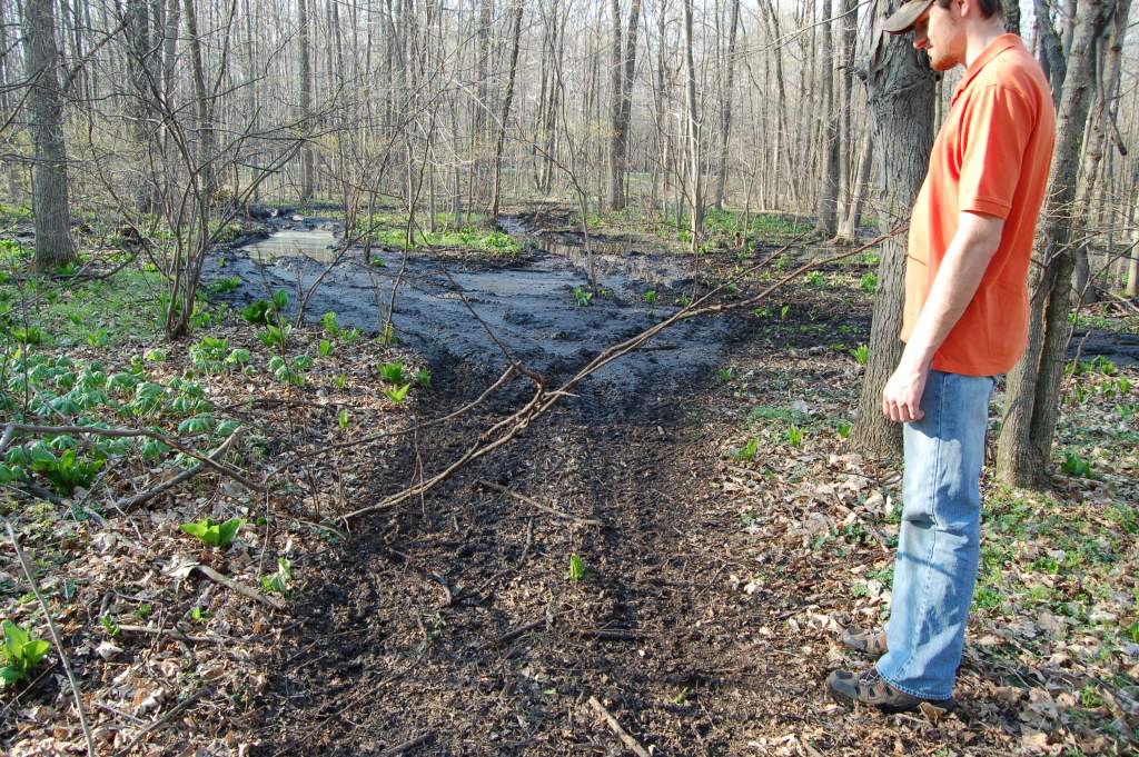 Some yahoos thought it would be 'fun' to take their ATVs through my wetland. The resulting damage is in excess of $15,000.