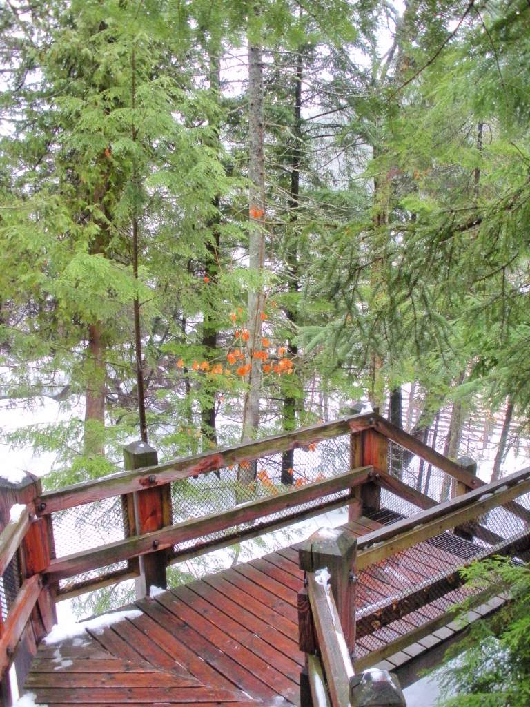 Stairs leading down to the top of the falls