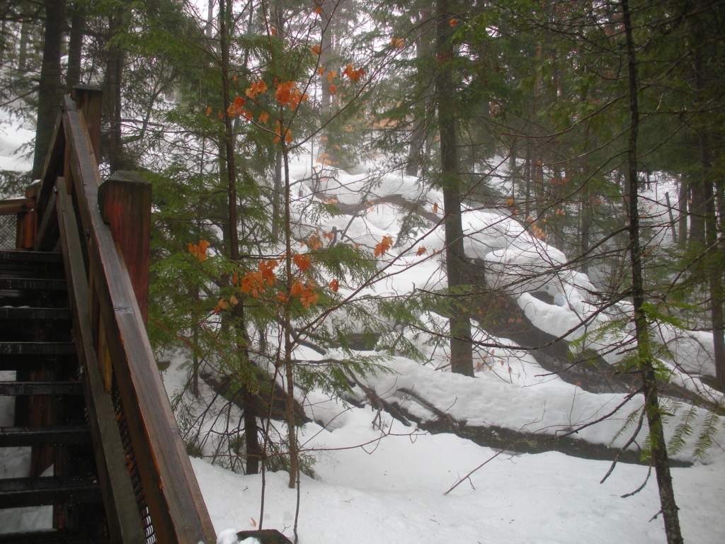 Stairs leading up from the falls