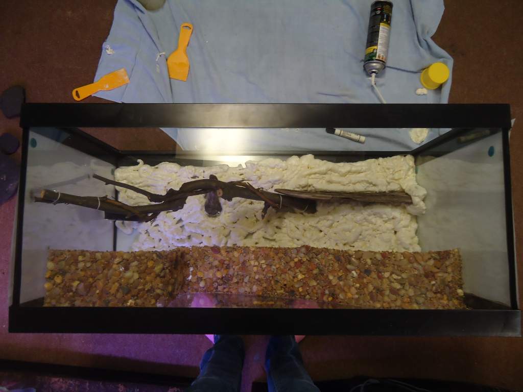 Started the insulation foam of GreatStuff. Added a branch with a vine tied around it and a piece of drift wood as a ledge. Also a soon to be potted ha