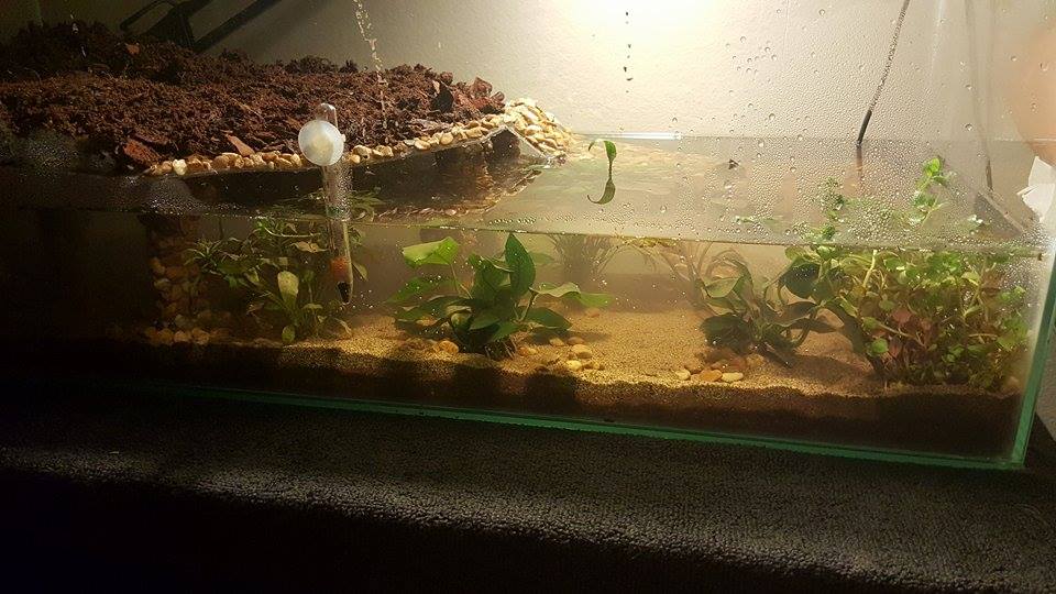 Tank in progress