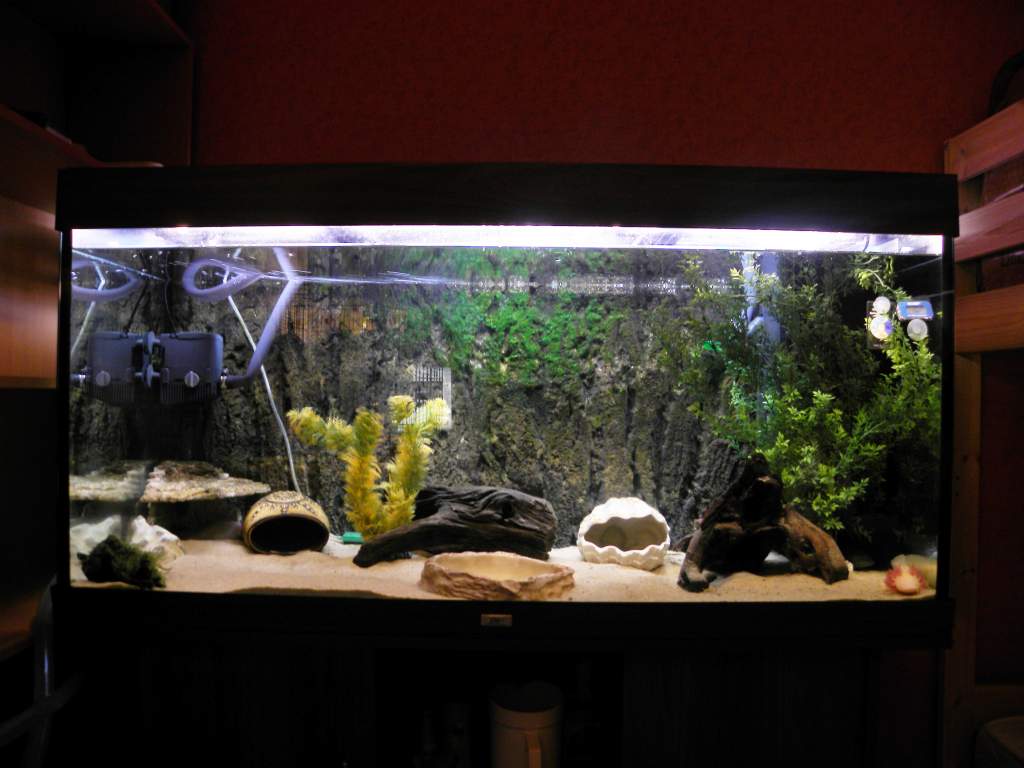 Tank setup