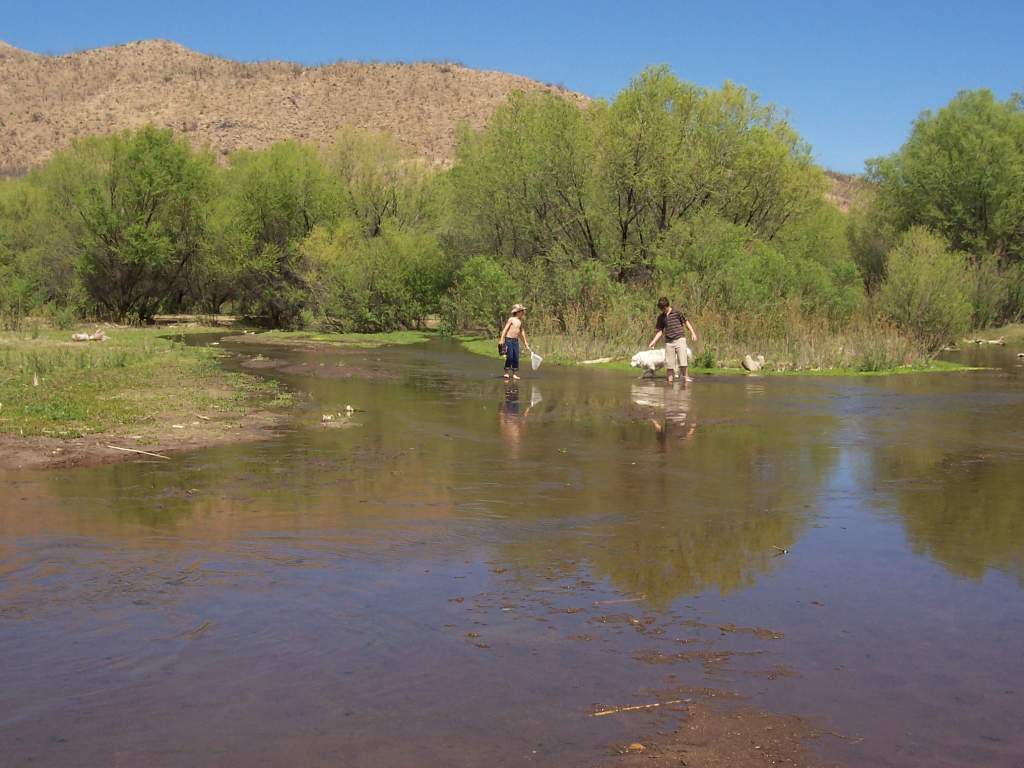 The delta? of the creek.  Its made quite a beach!!  Those are my boys back there.