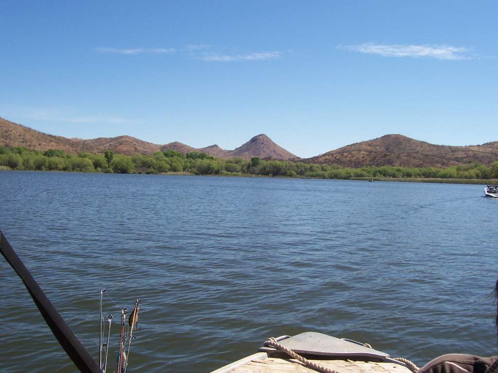 The east end of the lake where the creek enters.