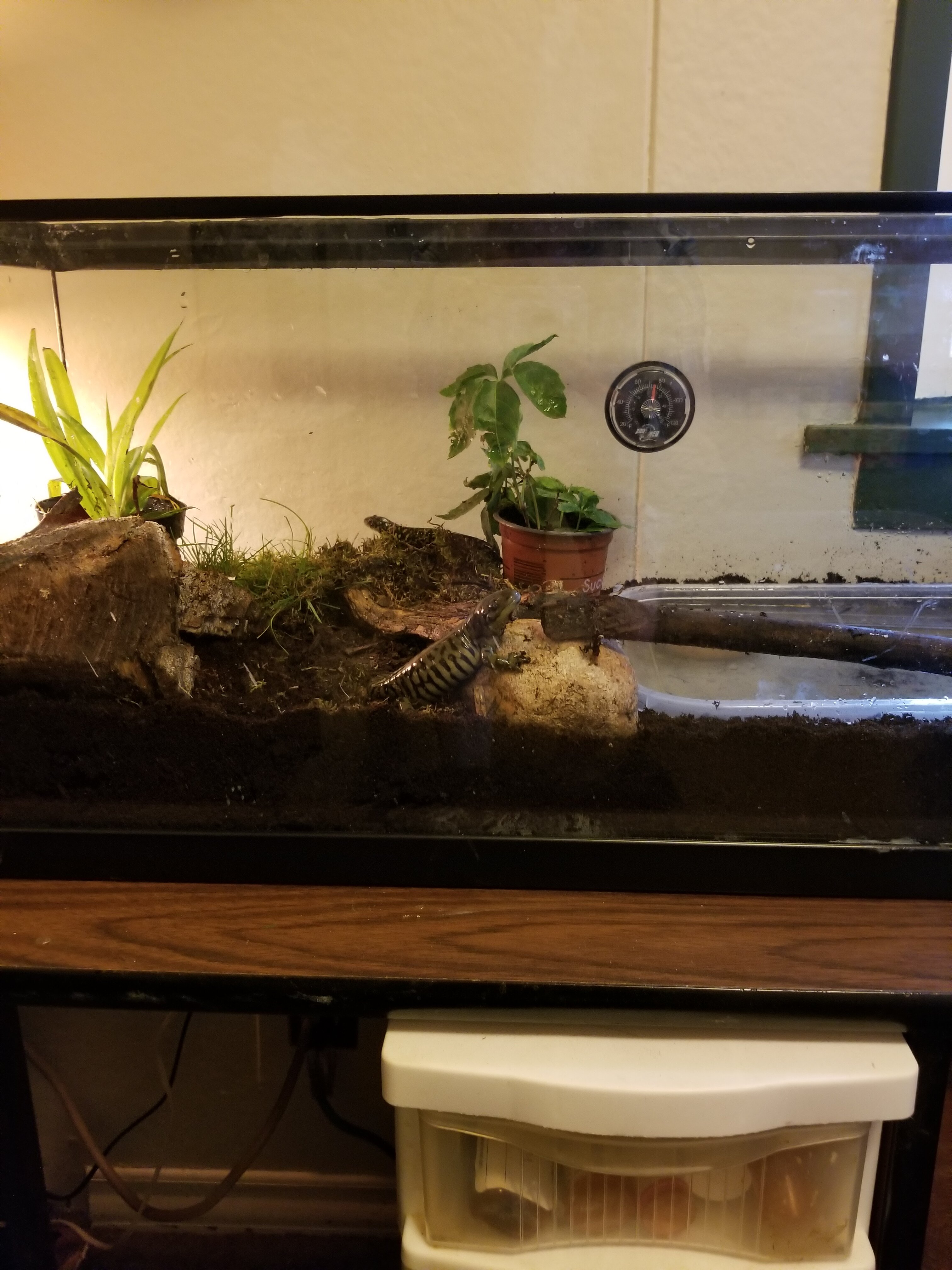 The indoor habitat