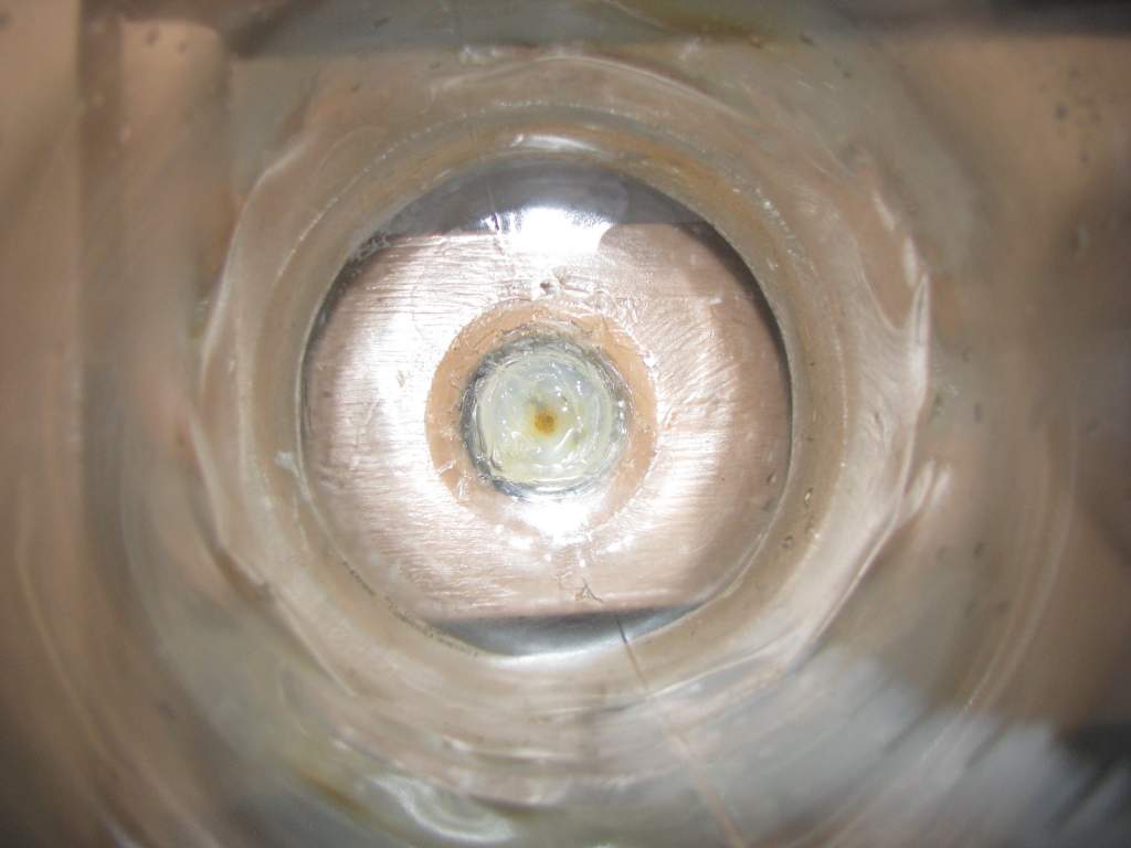 The inside of one of the cut off two liter bottles. It is an airline tube going up with silicone up to the rim of the tube so brine shrimp eggs cant r