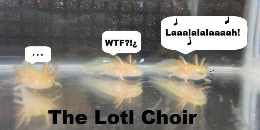 The Lotl Choir
I do not own the original picture. Can't remember where I found it but I thought this was cute.