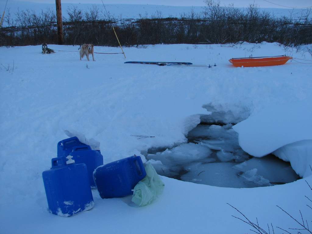 the spring in the beaver pond