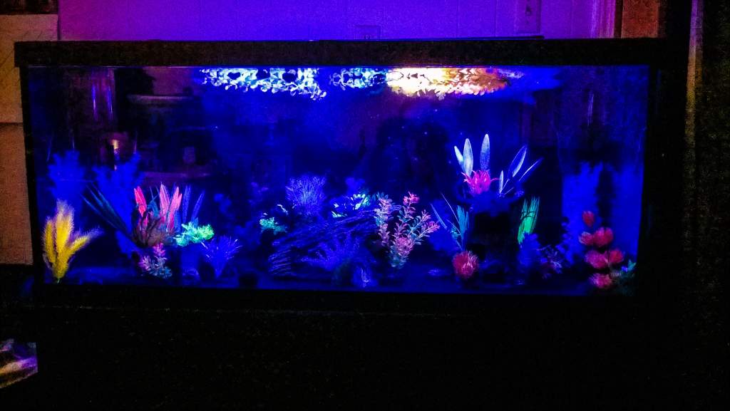 The tanks lunar leds