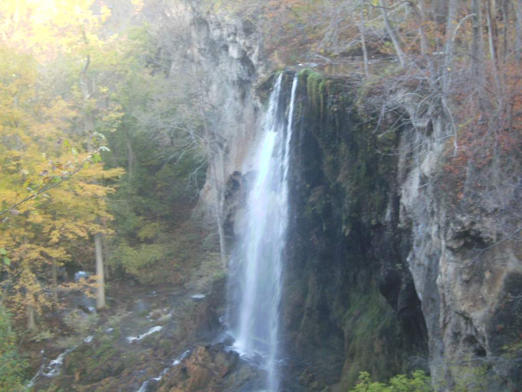 This is about a 150 foot waterfall. Looks good for salamanders at the bottom in the spray zone right? Wrong, this water stays at around 75F year round