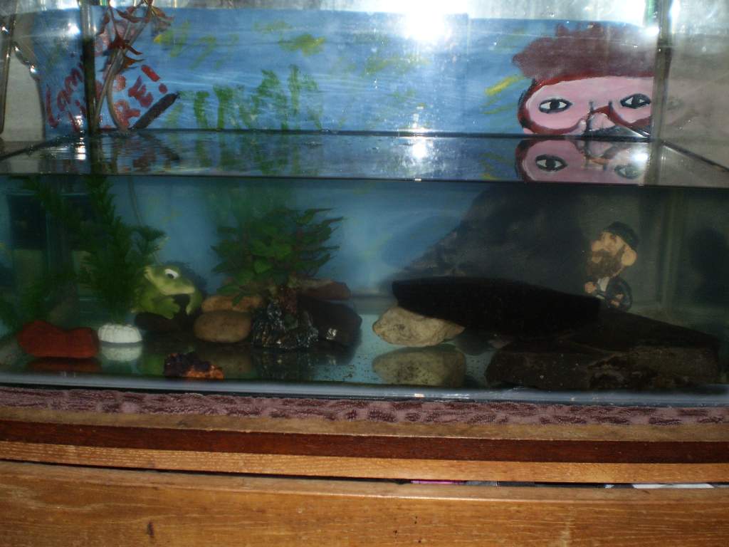 This is my tank