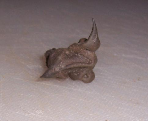 This is the Devil Head in its original state. It's the seed pod from the invasive Water Chestnut plant.