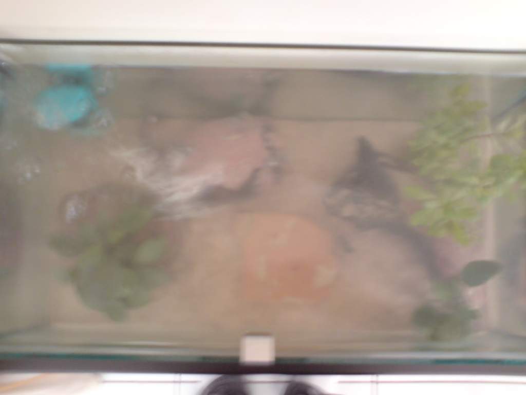 Top View of Tank