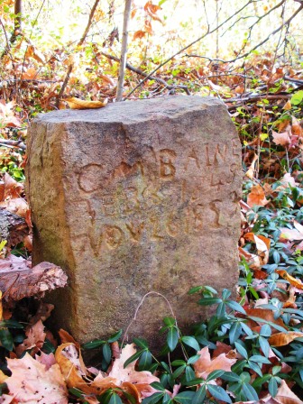 Unnamed Cemetery near Panther's Den Wilderness