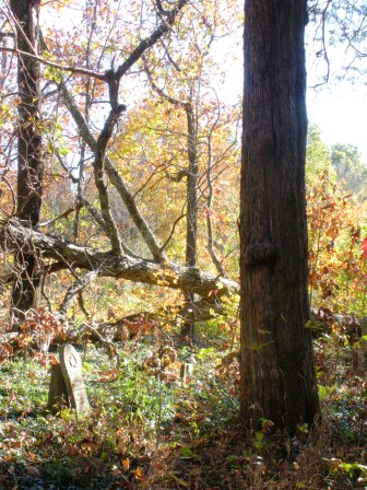 Unnamed Cemetery near Panther's Den Wilderness