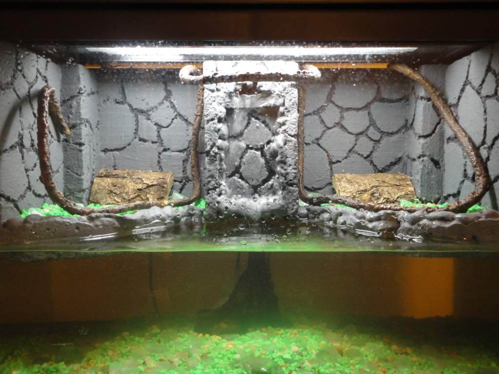 Vivarium front view