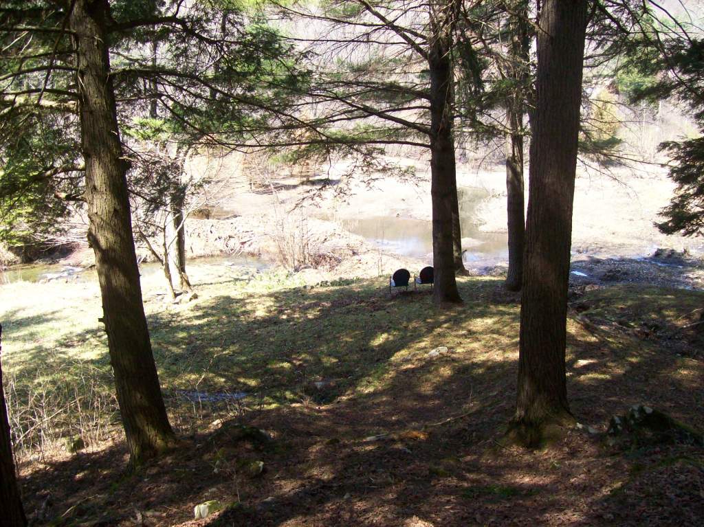 walking to the pond.