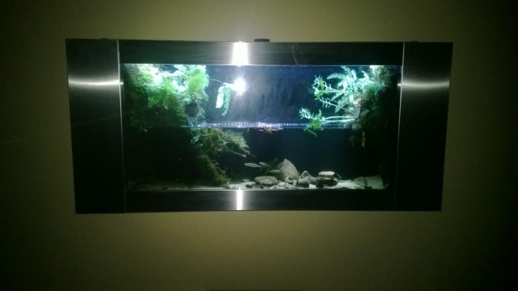 Wall Mounted Trillium Biotope.jpg1