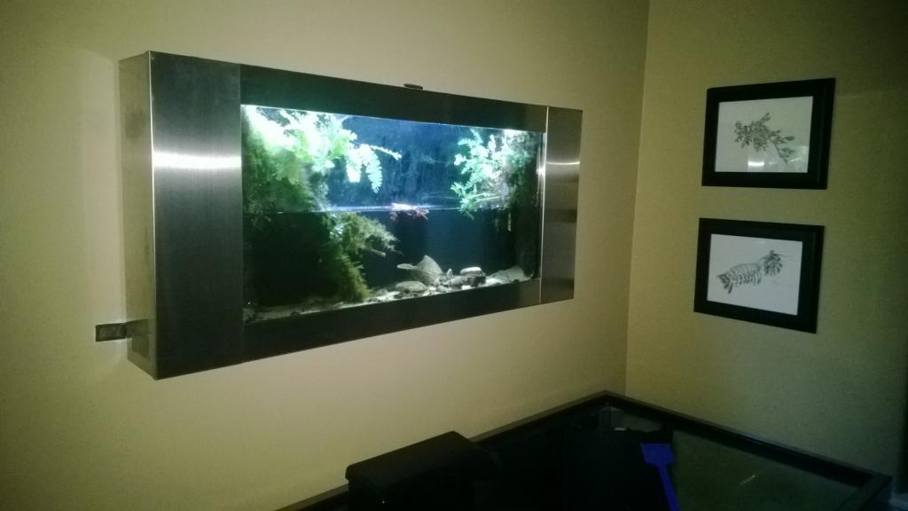 Wall Mounted Trillium Biotope