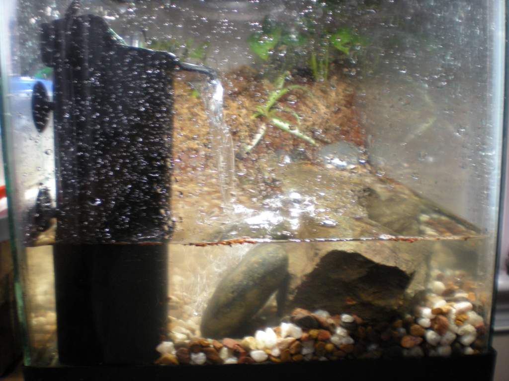 Water area of the tank.