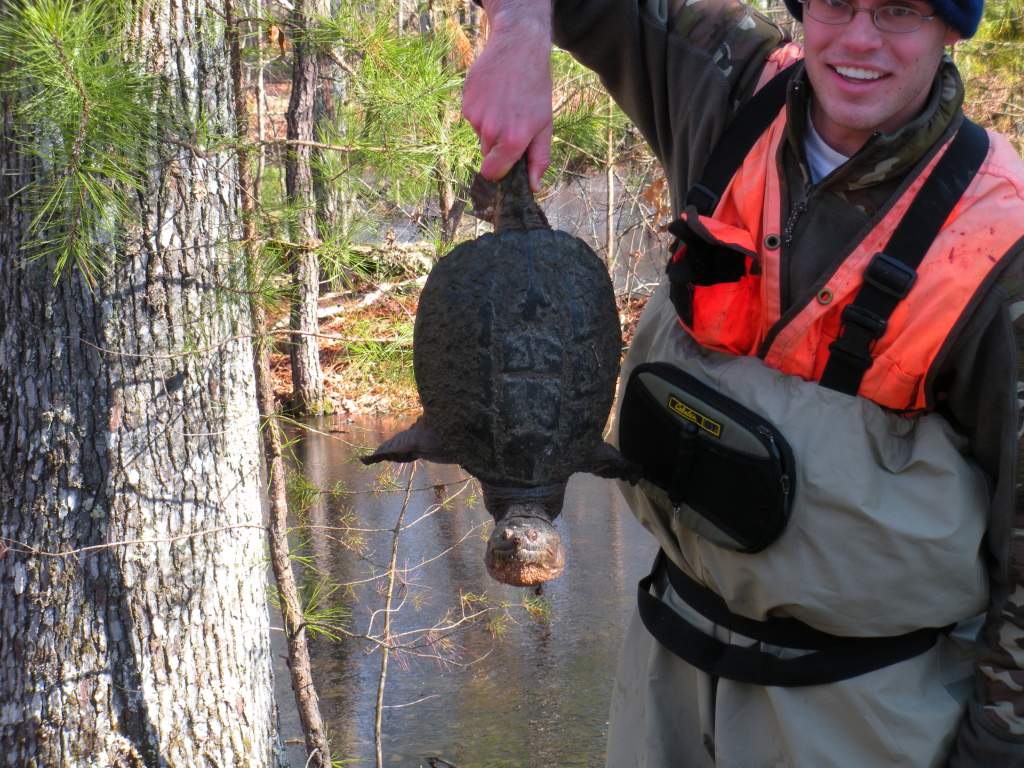 We found this girl swimming around under the ice. Water temp was about 3c that day.