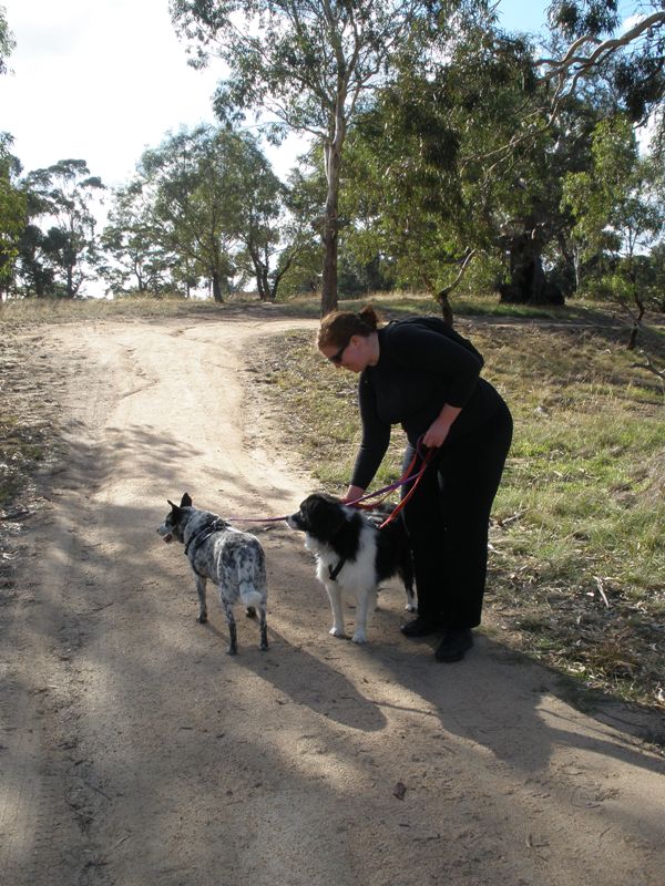 We had to play 'hop, skip and jump' along this pathway...Ants galore!  Not just any ants, mind you. Big ants.  Nasty biting big ants.  I'm sorry Pete,