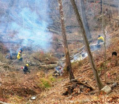 What do YOUR coworkers do when they're bored? Mine start wildfires, just to put them out!