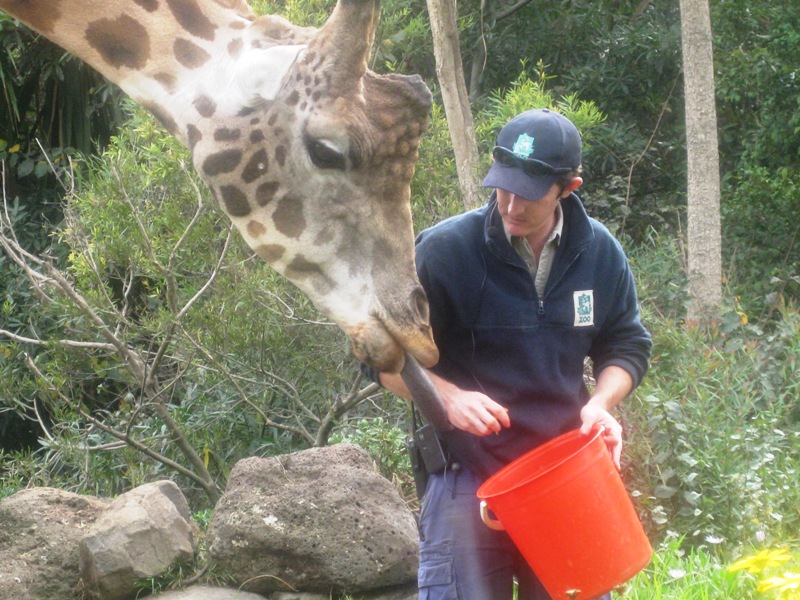 "What have you got in your bucket's'ess?"