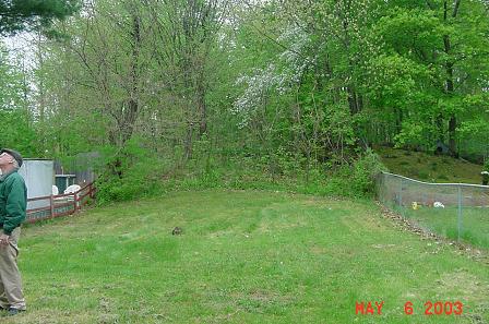 When I first bought my house, my backyard was as bare as Mother Hubbard's cupboard.