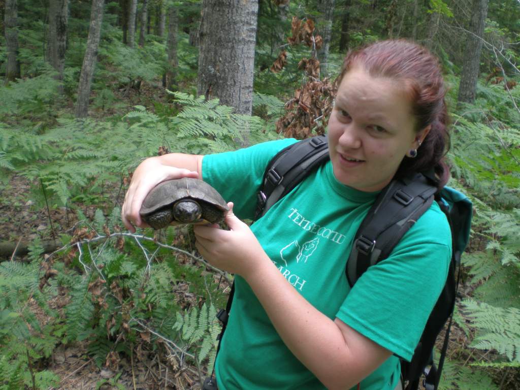 Wood turtle again. Ignore the 'field clothes', it was a long week.