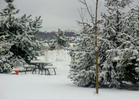 Yay, more snow!