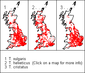 dist.n maps